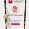 ChatGPT Image Jul 24, 2026, 11_41_55 PM Mazatapec dried magic mushrooms