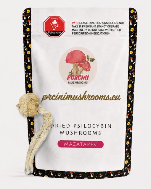 ChatGPT Image Jul 24, 2026, 11_41_55 PM Mazatapec dried magic mushrooms