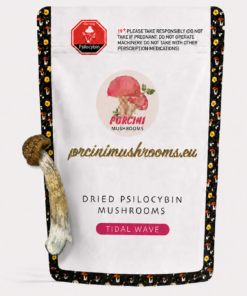 Tidal Wave Magic Mushrooms