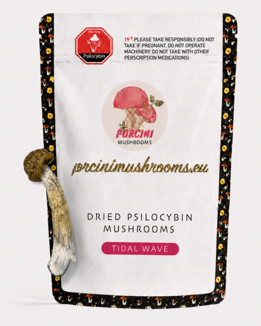 ChatGPT Image Jul 24, 2026, 11_57_09 PM Tidal wave dried magic mushrooms