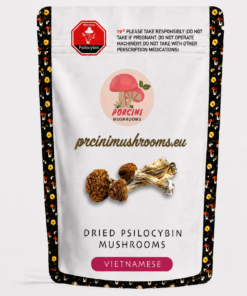 Vietnamese Magic Mushrooms