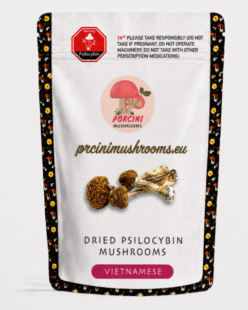 Vietnamese dried magic mushrooms