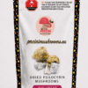 Avalanche Magic Mushrooms