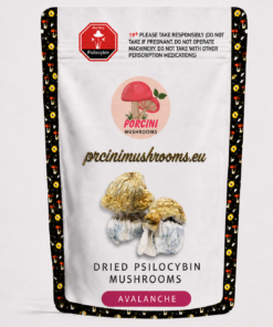 Avalanche Magic Mushrooms