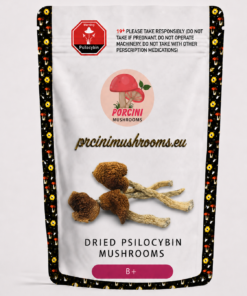 B+ Magic Mushrooms