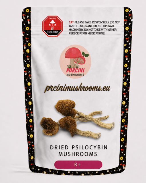 dried B+ magic mushrooms strain