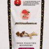big mex dried magic mushrooms