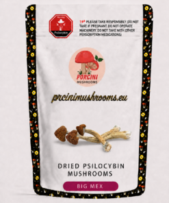 Big Mex Magic Mushrooms