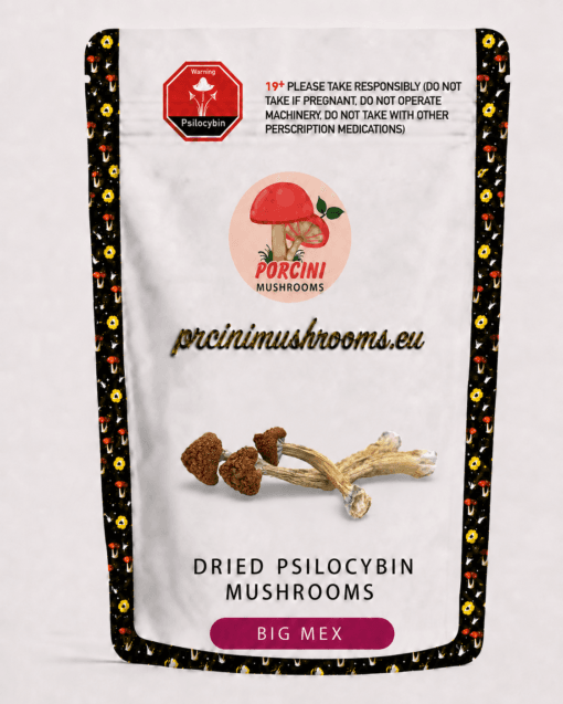 big mex dried magic mushrooms