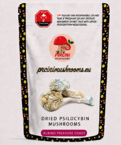 Albino Treasure Coast Magic Mushrooms