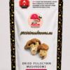Dried Dino Eggs Magic Mushrooms