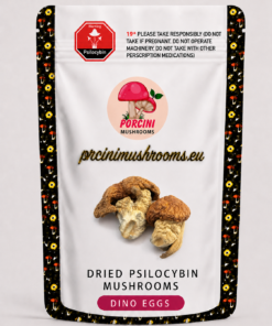 Dino Eggs Magic Mushrooms
