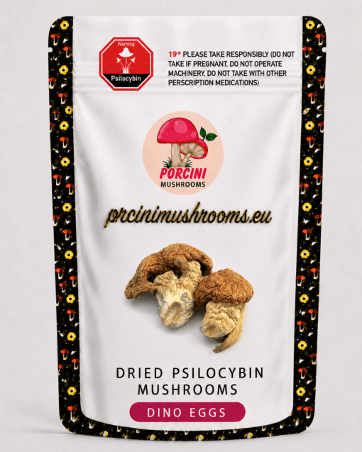 Dried Dino Eggs Magic Mushrooms