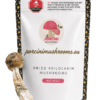 ChatGPT_Image_Jul_24__2026__11_43_09_AM-removebg-preview (1) Melmac Dried Magic Mushroom