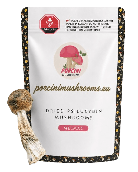 ChatGPT_Image_Jul_24__2026__11_43_09_AM-removebg-preview (1) Melmac Dried Magic Mushroom