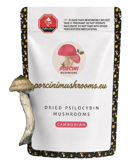 dried Cambodian magic mushrooms