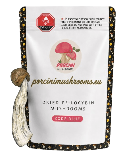 dried code blue magic mushroom