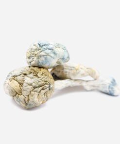 Alien Bubbles Magic Mushrooms