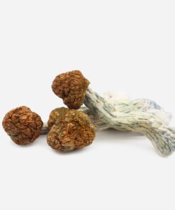 Trinity Magic Mushrooms