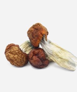 Blue Pulaski Magic Mushrooms