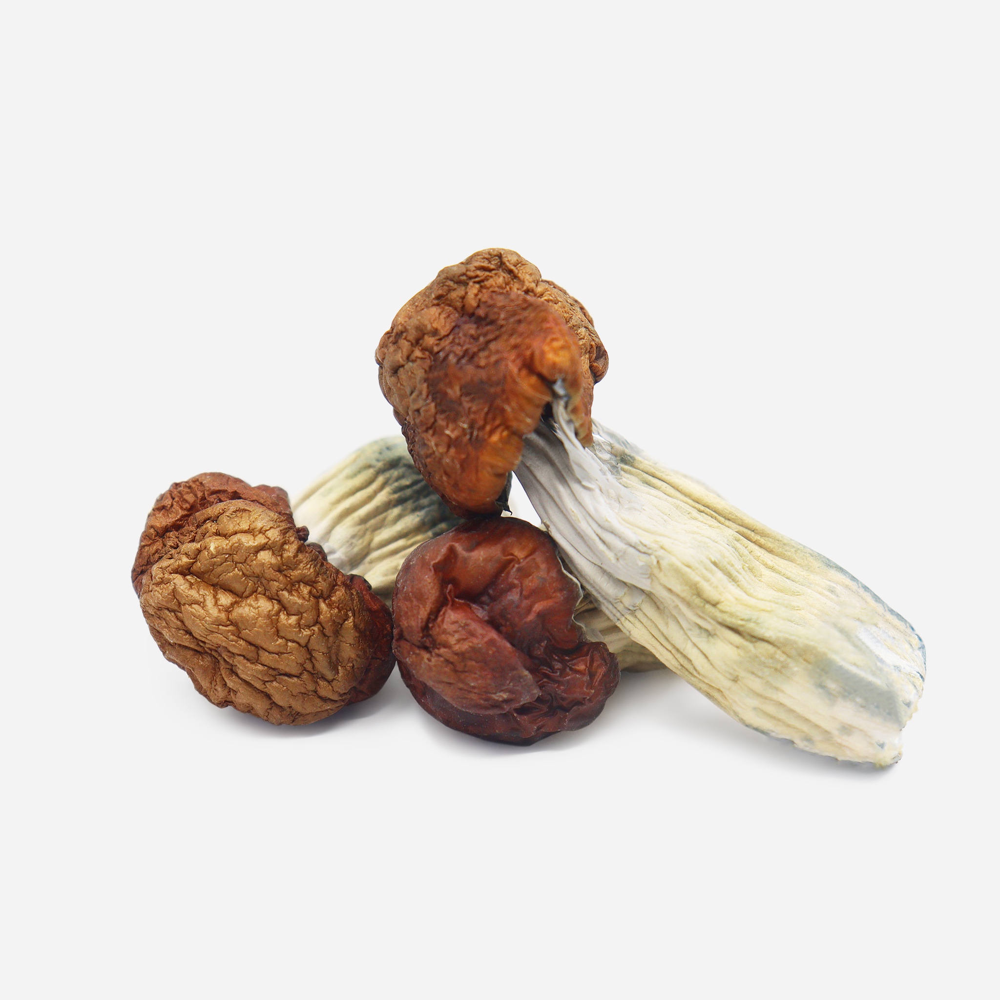 IMG_8807-BLUE-PULUSKI