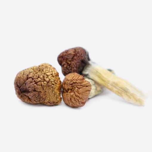 how do you take magic mushroom