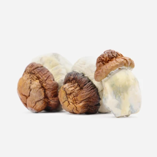 magic mushroom shop discount code