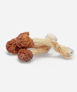 Melmac Penis Envy Magic Mushrooms