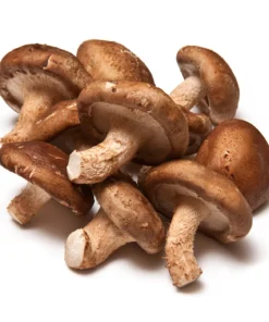 FreshOrganicShiitakeMushrooms (1) Fresh Organic Shiitake Mushrooms