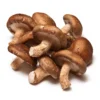 fresh shiitake mushroom