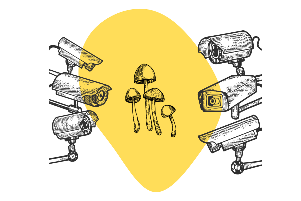 Germany psilocybin laws for tourist