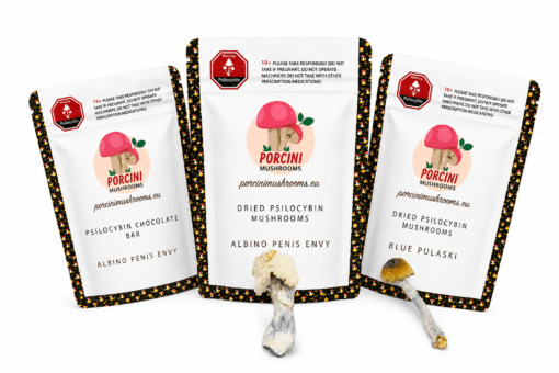 Visual Trip Bundle