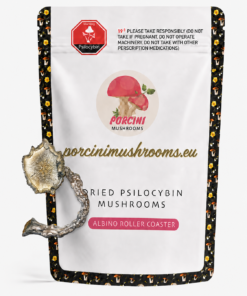 Albino Roller Coaster Magic Mushroom