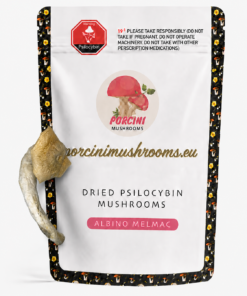 Albino Melmac Magic Mushroom