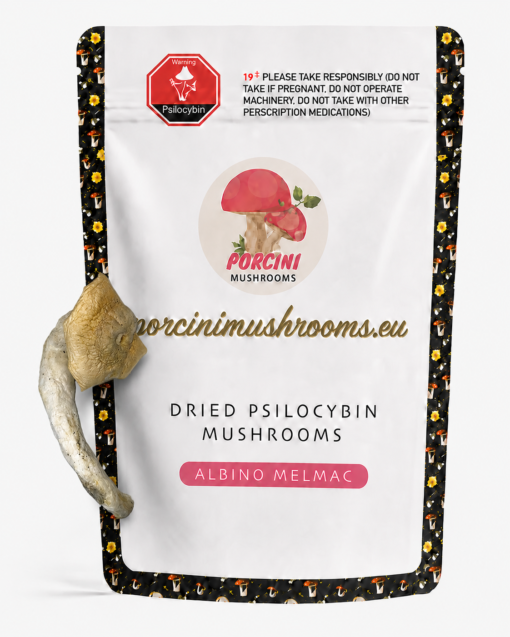 Albino Melmac Magic Mushroom