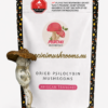 African Transkei Magic Mushrooms