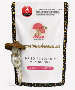 African Transkei Magic Mushrooms