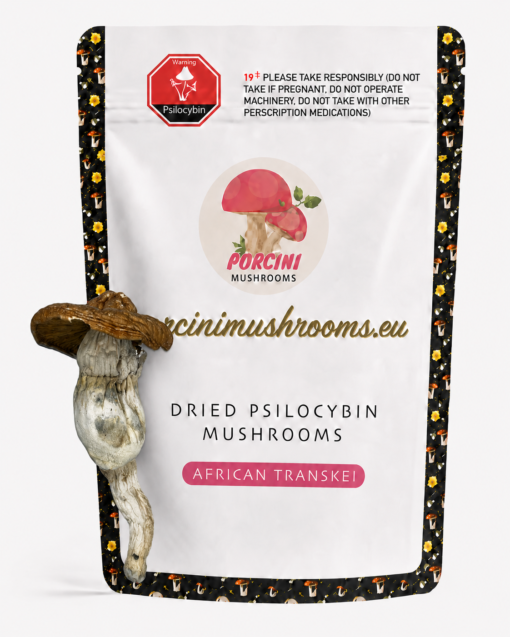 African Transkei Magic Mushrooms