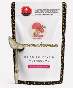 Ecuadorian Magic Mushroom