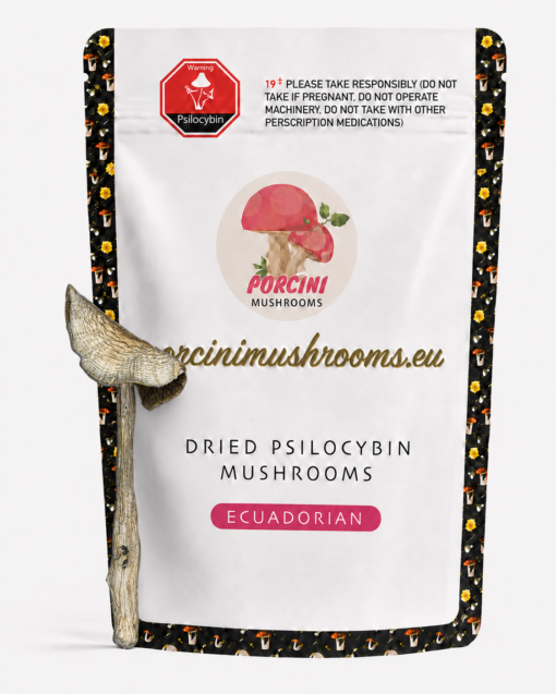 ChatGPT Image Jul 24, 2026, 10_51_12 PM Ecuadorian Magic Mushroom