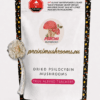 Albino teachers dried magic mushrooms