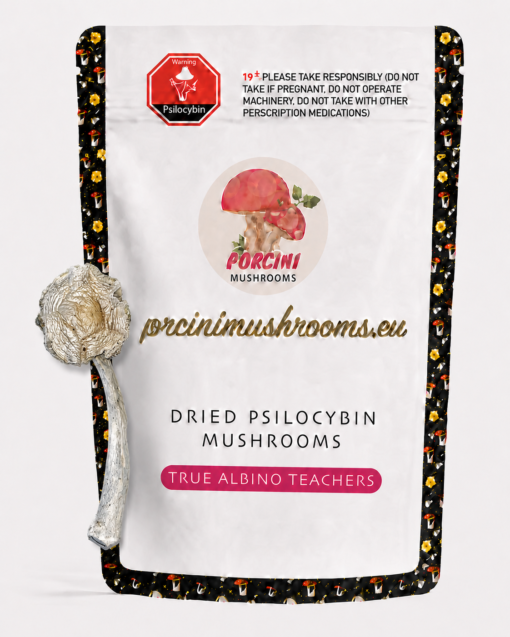 ChatGPT Image Jul 25, 2026, 12_23_44 AM True Albino Teachers Magic Mushroom