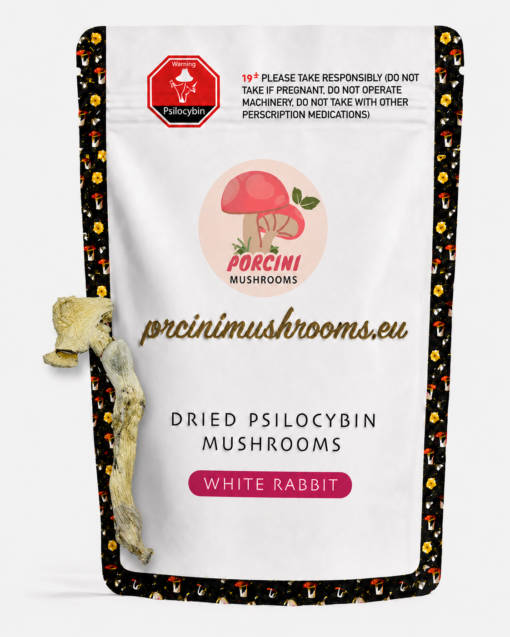 ChatGPT Image Jul 25, 2026, 12_36_16 AM White Rabbit Magic Mushrooms