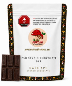 ChatGPT Image Jul 26, 2026, 08_18_16 AM APE Psilocybin Crunch Chocolate Bar