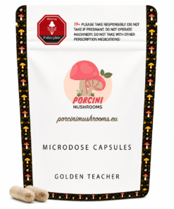 Golden Teacher Psilocybin Capsule
