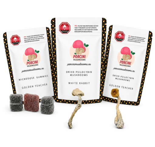 Spiritual Trip Bundle