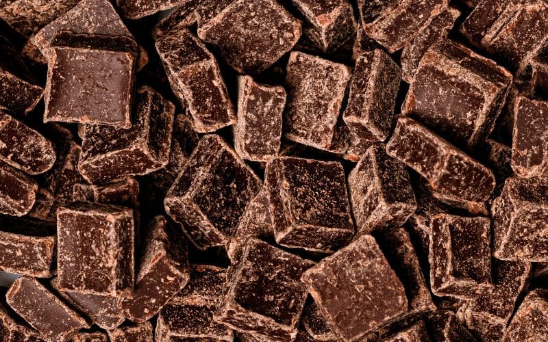 bakers_chocolate Mushroom Gummies vs Mushroom Chocolate