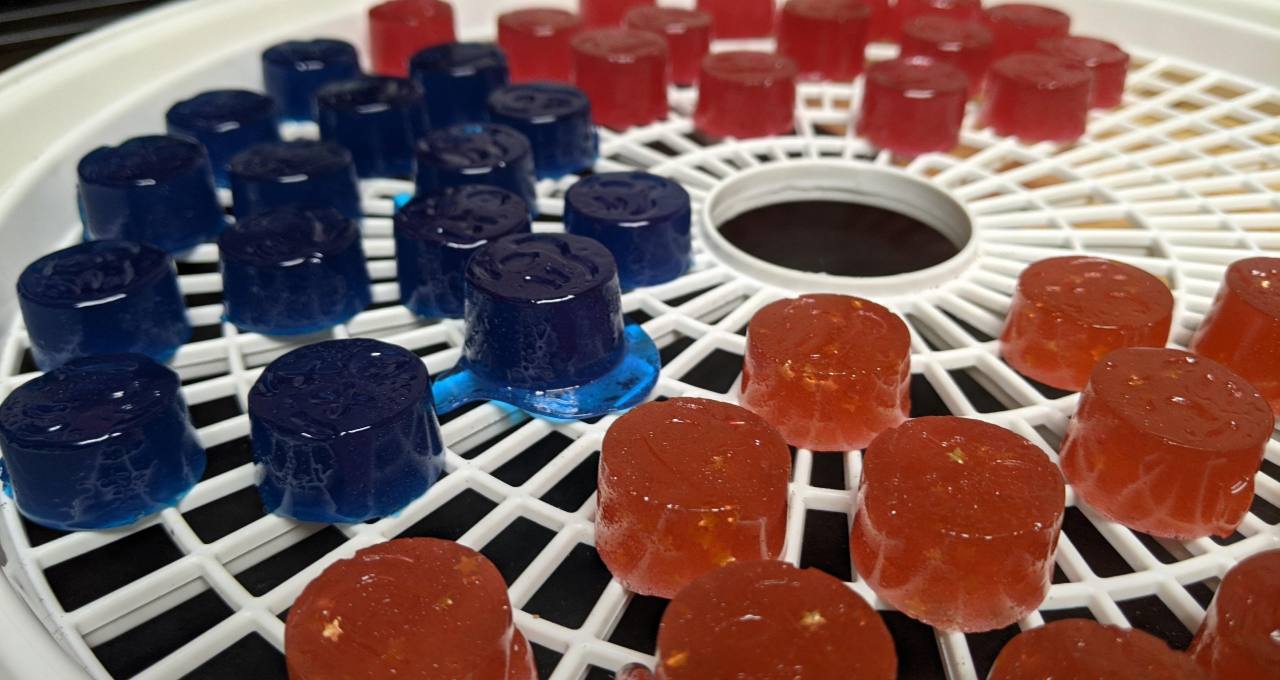 Mushroom Gummies vs Mushroom Chocolate